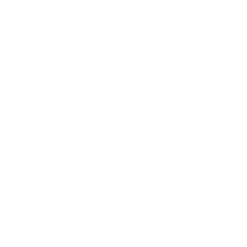 Icon Elections Register to vote
