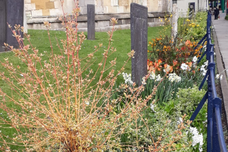 The Rainbow border at St Mary's Church