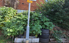 Untidy Garden News Size
