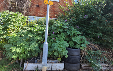 Untidy Garden News Size