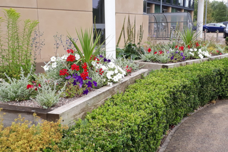 Flag border in the heritage gardens