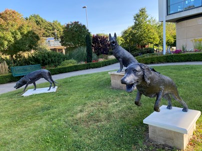 Dog Sculptures at Parkside