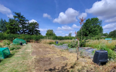 Allotments