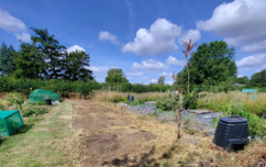 Allotments