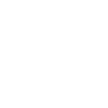 Icon Strategies Financial