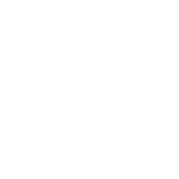 Icon Parking Info
