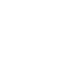 Car parking icon