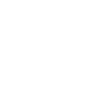 Elections and Voting icon